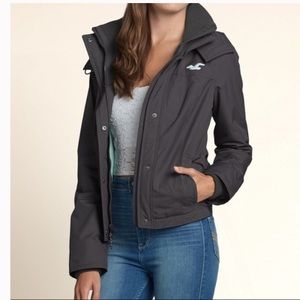 Hollister Winter Coat